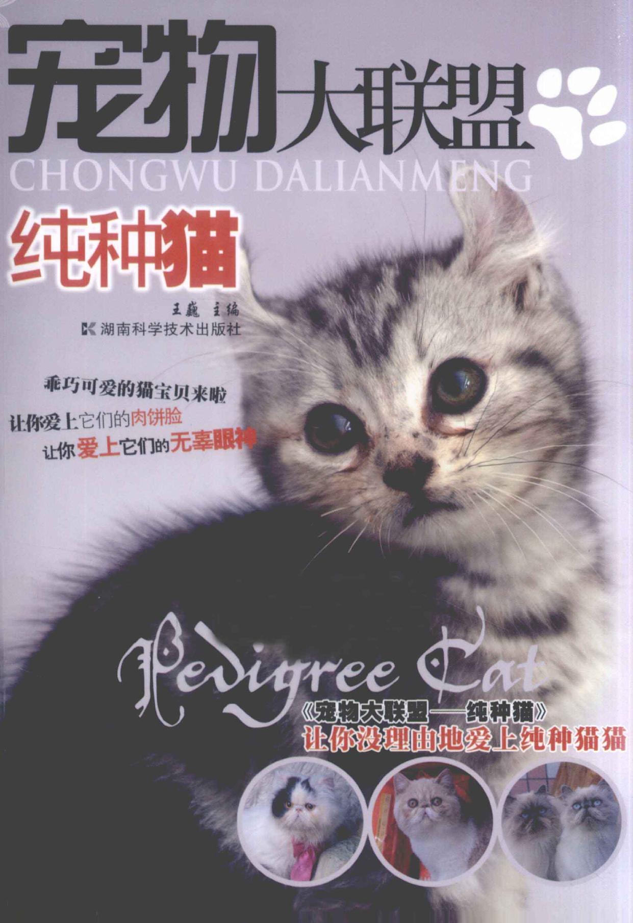 宠物大联盟 纯种猫 -- 王巍主编, 王巍主编, 王巍 -- 2011, 2011 -- 长沙 湖南科学技术出版社 -- 9787535765277 -- 222393c0414cdaf7fd219814104cb983 -- Anna’s Archive
