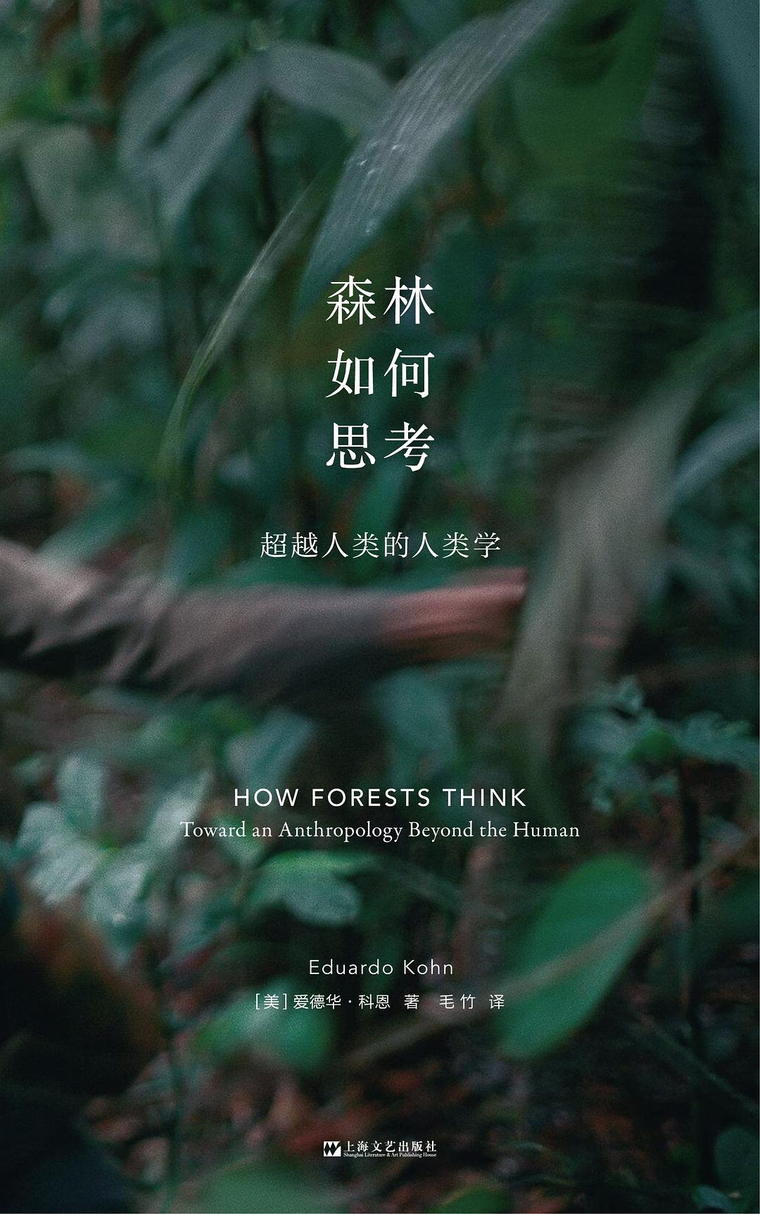森林如何思考：超越人类的人类学